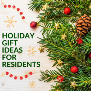 Holiday gift ideas for Residents, Interns and other Doctors