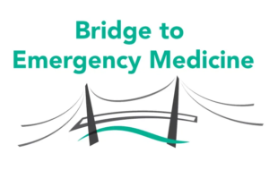 ALiEM Bridge to Emergency Medicine